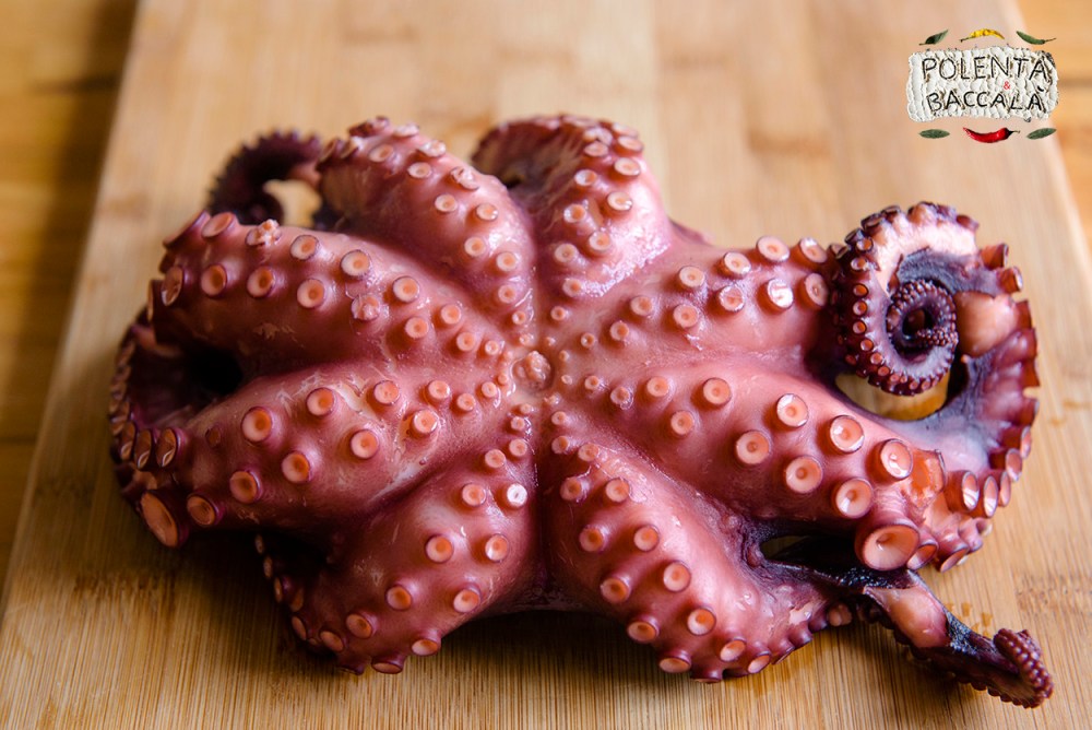 polpo_gallega_5