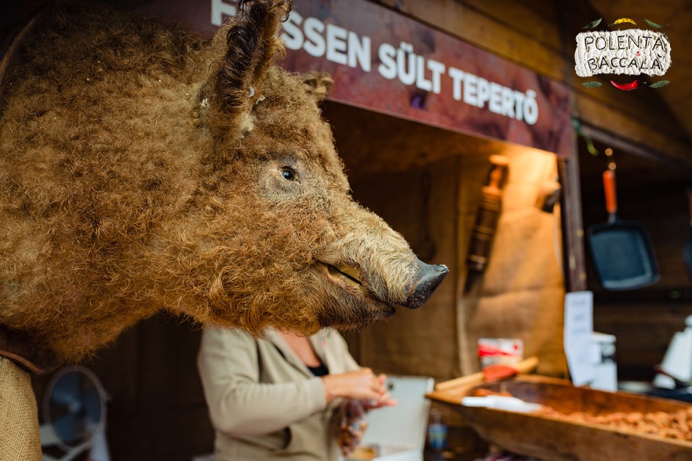 mangalica_fesztival_2018 (10)